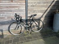 Rennrad Stevens Aspin 53RH Carbon Gabel Niedersachsen - Nordhorn Vorschau