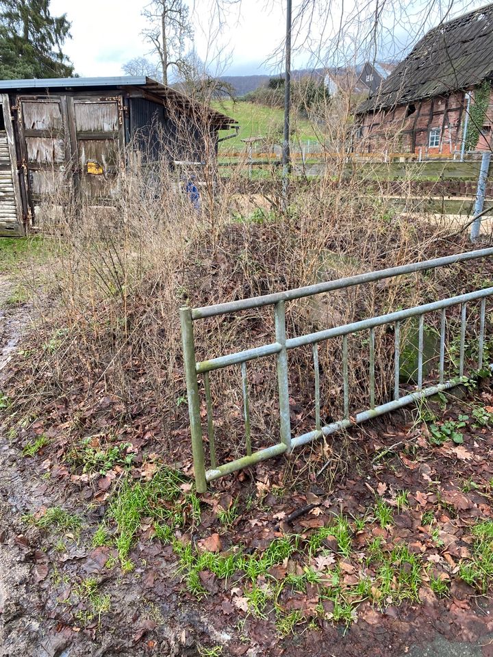 Erde zu verschenken in Halle (Holzminden)