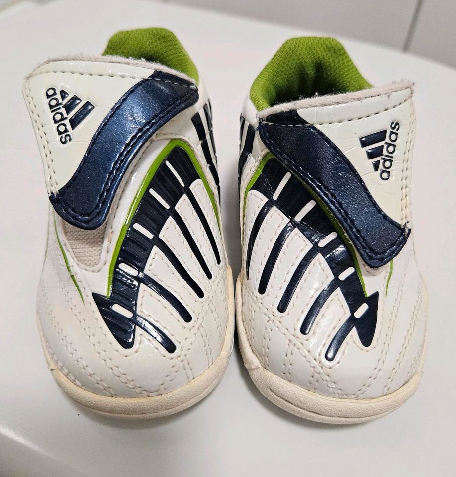 Adidas Predator Babyschuhe Gr.19 in Senden