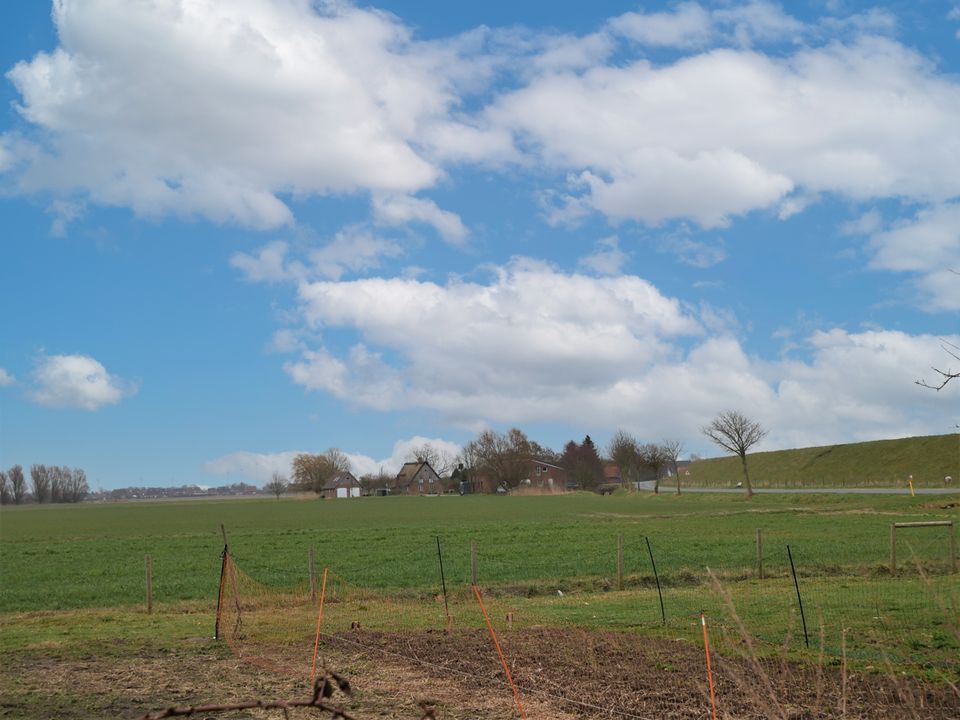 Resthof in schöner Deichlage im Nordseebad Friedrichskoog in Friedrichskoog