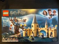 Harry Potter LEGO  75953 -peitschende Weide *neu / OVP* Rheinland-Pfalz - Waldbreitbach Vorschau