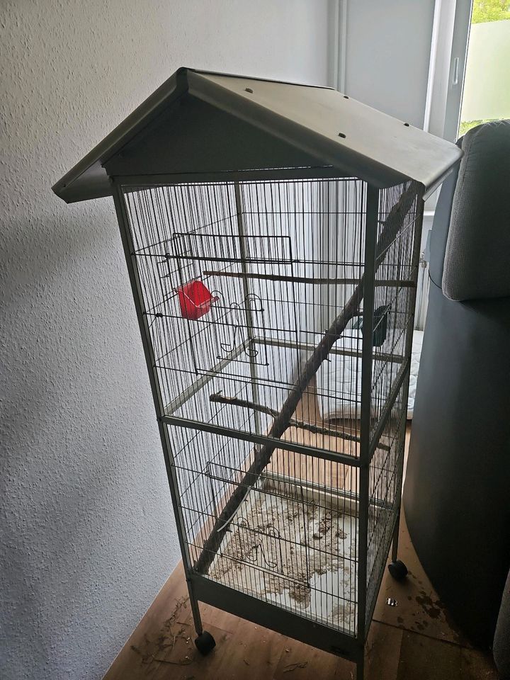 Vogel Käfig in Langeneichstädt