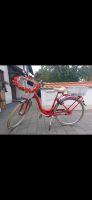 Hercules City Fahrrad Größe 49 Bayern - Neuburg a.d. Donau Vorschau