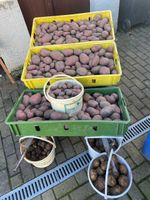 Kartoffeln rote Schale Brandenburg - Werneuchen Vorschau