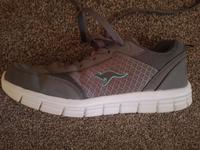 nagelneue Kangaroos Brandenburg - Prenzlau Vorschau