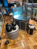 Aquarium, dreigeteiltes Überlaufbecken, Unterschrank, Filter, LED Nordrhein-Westfalen - Elsdorf Vorschau