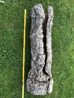 Korkröhre Holzröhre Kleintiere ca 85 cm lang / ca. 20-23 breit Hessen - Bad Vilbel Vorschau