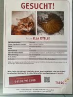 Wir vermissen immer noch schmerzlich unsere Katzen Sachsen-Anhalt - Arnstein Vorschau