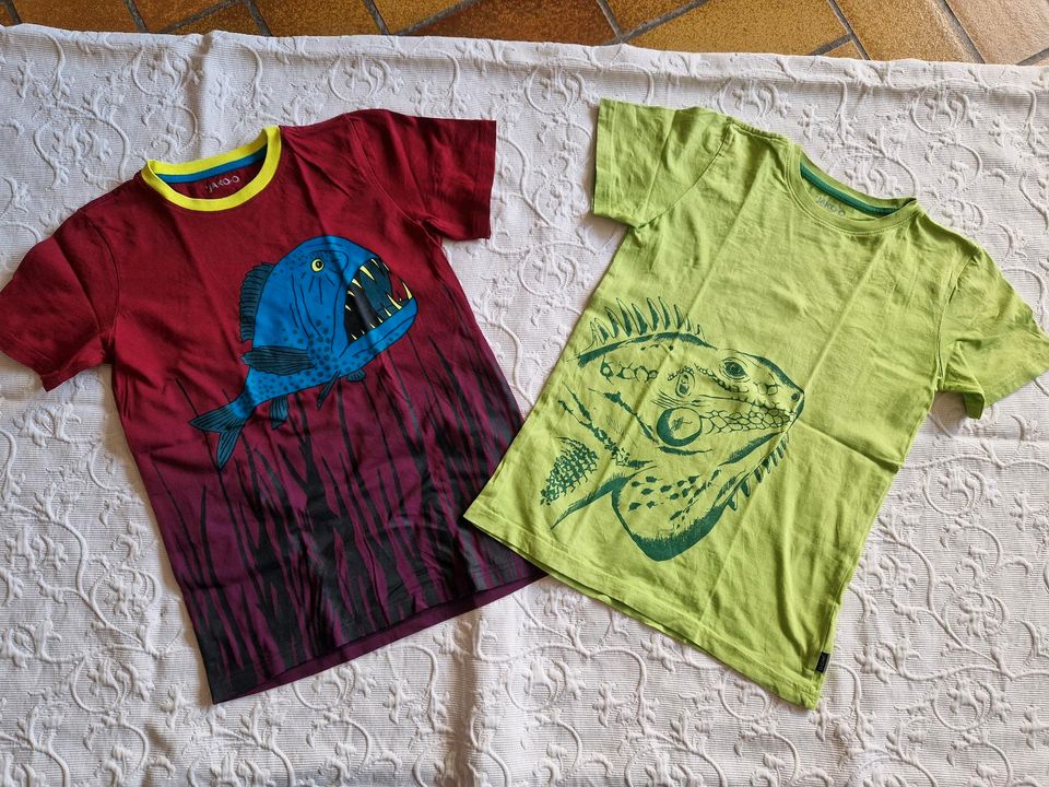 T-Shirt Bundle in Dannstadt-Schauernheim