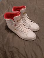 Puma Schuhe Nordrhein-Westfalen - Herzogenrath Vorschau
