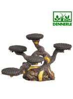 Dennerle Nano Decor Bonsai Tree - 2 Stück im Set Bayern - Fürth Vorschau