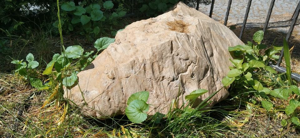 großer Stein Dekostein Garten Teich Terrarium Findling Deko in Dresden