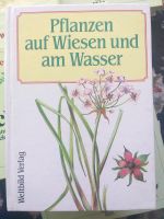 Pflanzen auf Wiesen und am Wasser Bayern - Hirschaid Vorschau