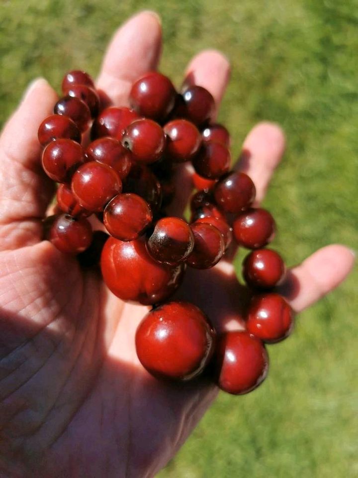 Echte Cherry Amber kein Bakelit Kette 76,5 Gramm in Oldenburg