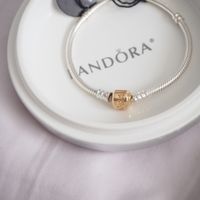 PANDORA Armband 925 Sterling Silber & Gold 585 Verschluss NEU. Eimsbüttel - Hamburg Schnelsen Vorschau