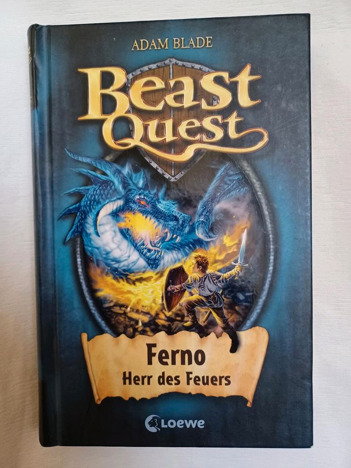 Buch Beast Quest, Ferno Herr des Feuers in Holzwickede