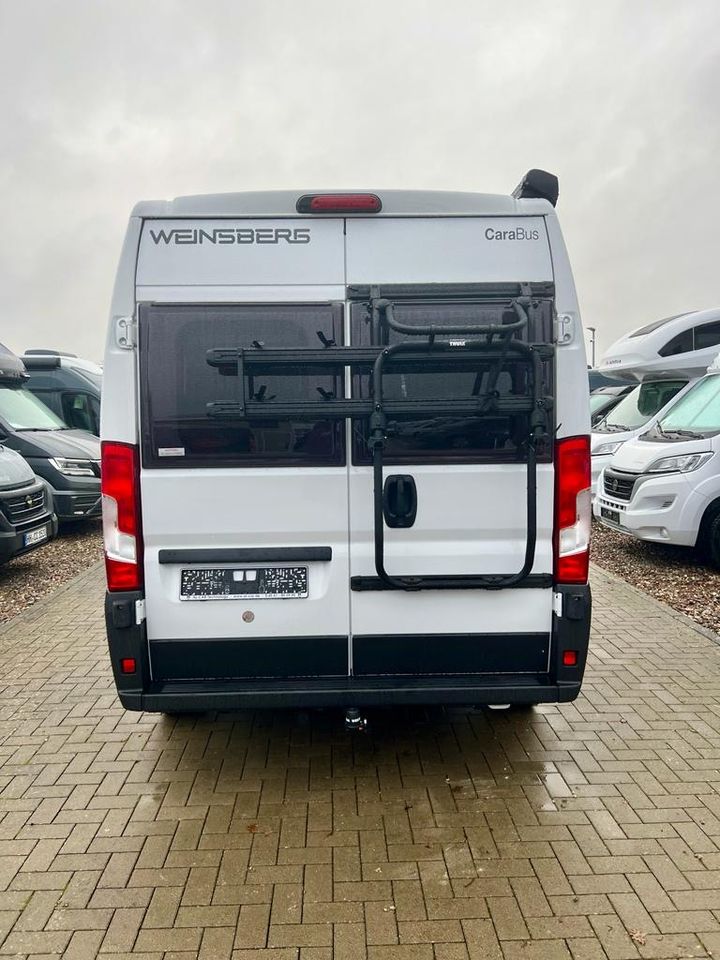 Wohnmobil mieten Weinsberg CaraBus 600 MQ frei in Alt Mölln