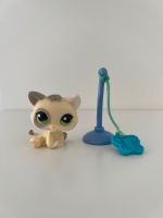 Littlest Pet Shop Katzen Kitten #1074 Spielfigur Sammelfigur LPS Hessen - Hanau Vorschau