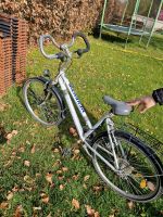 Fahrrad zu verkaufen Niedersachsen - Visselhövede Vorschau