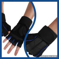 Fitness Handschuhe blau schwarz Größe M Gewichtheben Radfahren Niedersachsen - Wunstorf Vorschau