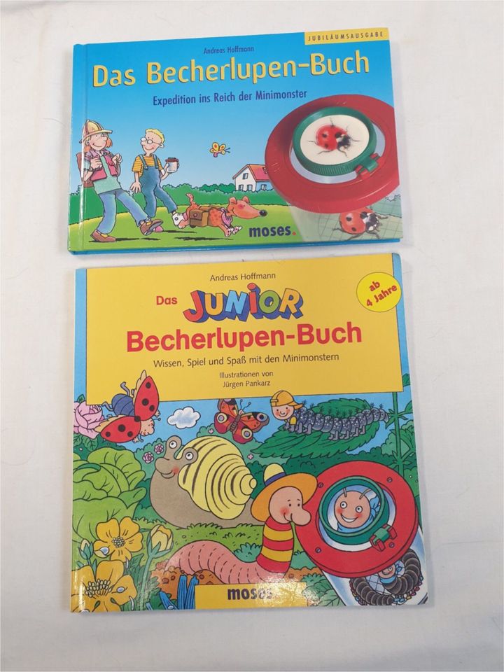 Hexe Lilly Buch CD DVD MC u.a. Knister Sammlung Erstleser Yoko in Metzingen