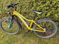 24 Zoll Fahrrad von Winora zu verkaufen Bayern - Pullach Vorschau