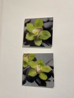 Set aus zwei Bildern hinter Glas (grüne Orchidee), 20 × 20 cm Baden-Württemberg - Kernen im Remstal Vorschau