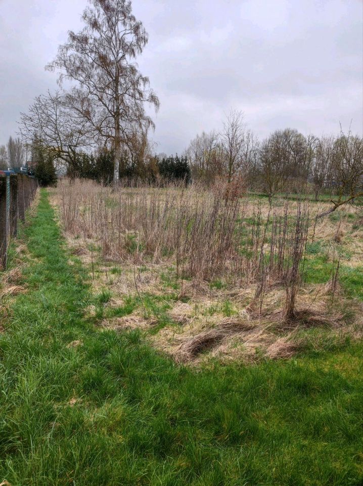 Vermiete Verpachte Wiese Wiesenfläche Garten Tierhaltung Solar in Gotha