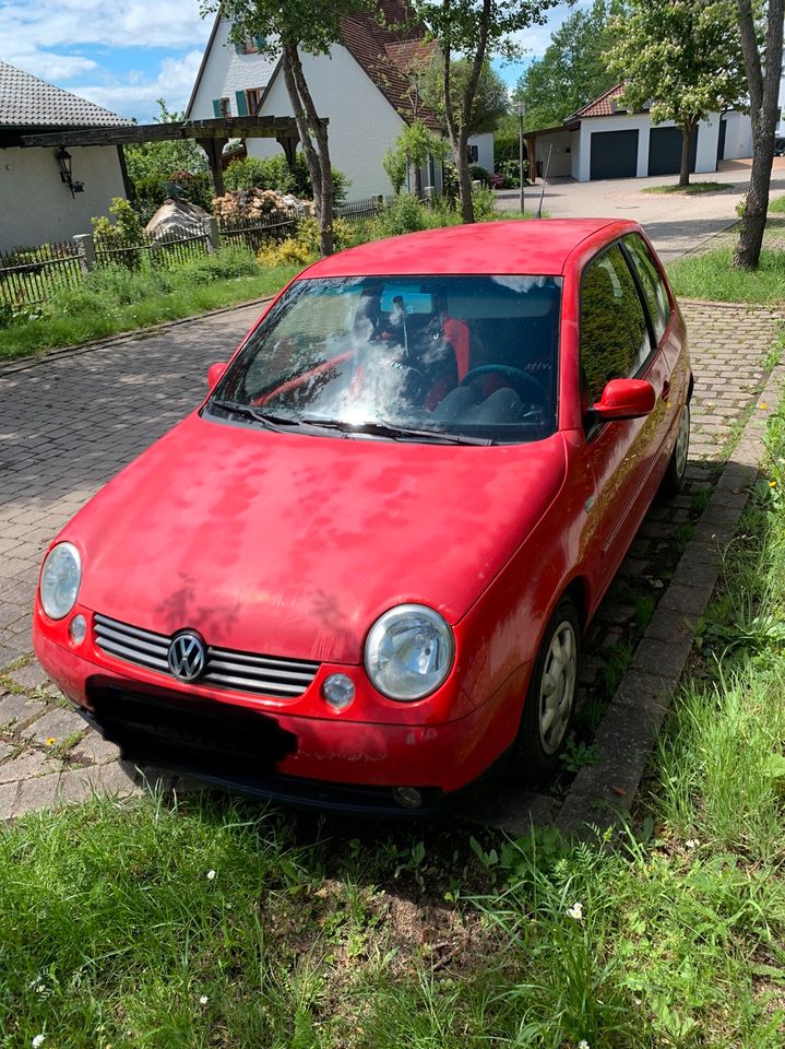 Volkswagen Lupo 1,7 SDI Comfortline in Dinkelsbuehl