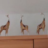 Giraffen 3 Stück Dortmund - Hörde Vorschau