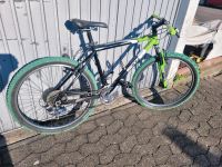 Mtb Körpergröße 150-165cm Bayern - Fürth Vorschau