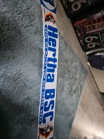 Hertha BSC Schal fanartikel rar Berlin - Tempelhof Vorschau