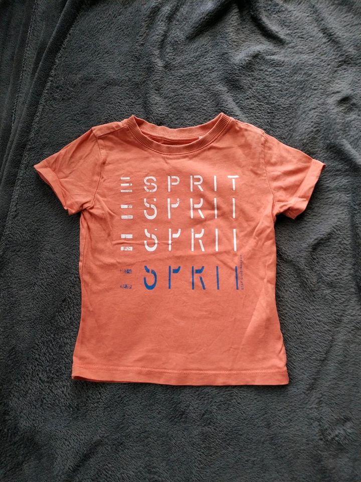 T-Shirt von Esprit in Ludwigshafen