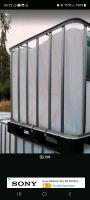 ‼️☆☆☆ IBC 1000 Liter Tanks Container Regenfass☆☆☆ Sachsen-Anhalt - Magdeburg Vorschau