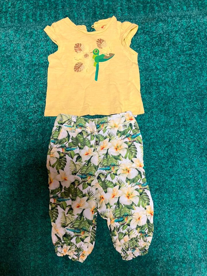 jbc Set T-Shirt und Hose Sommer leicht Hawaii Gr. 62 Kolibri in Hilpoltstein