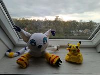 Digimon u. Pokemon Figuren 90er Jahre 1990 Hessen - Wolfhagen  Vorschau