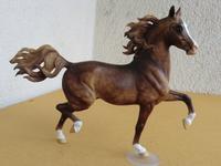MODELLPFERD BREYER ARAB HUCKL BEY dapplCHESTNUT CM JC USA LSQ Hessen - Oberursel (Taunus) Vorschau