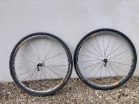 Laufradsatz Mavic Ksyrium 28 + Panaracer GravelKing SK 700 32c München - Sendling Vorschau