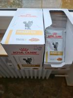 Royal Canin Nassfutter Urinary S/O Nordrhein-Westfalen - Siegen Vorschau