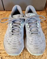 Asics Laufschuhe EvoRide (Komfort) Sachsen-Anhalt - Bernburg (Saale) Vorschau