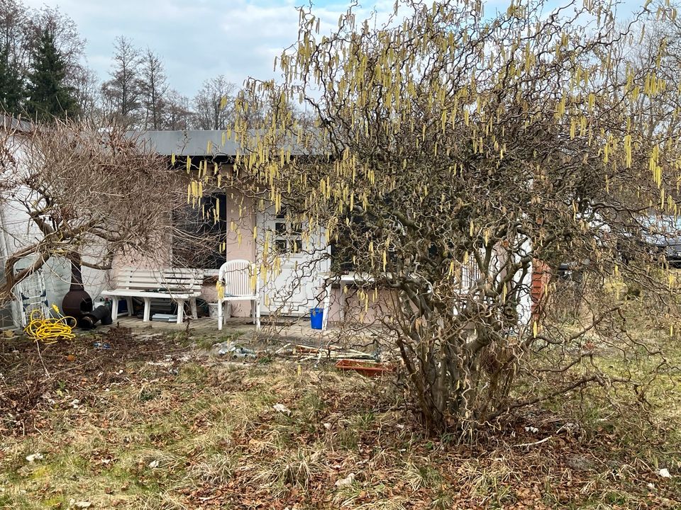 Schnäppchen Bungalow zum selbst gestalten in Dobin am See