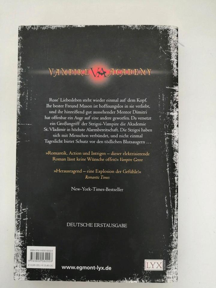 Buch Roman Richelle Mead Vampire Academy Blaues Blut Bestseller in Rüthen