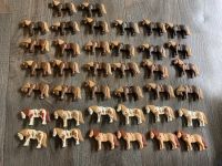 Playmobil Ponys bunt Paket Schleswig-Holstein - Schönberg / Holm Vorschau