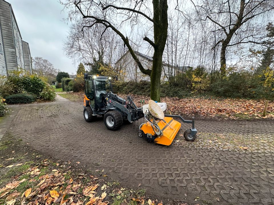 Baggerarbeiten, Pflasterarbeiten (Garten-und Landschaftsbau) in Schleiden