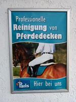 Pferdedecken Waschservice Bayern - Möttingen Vorschau