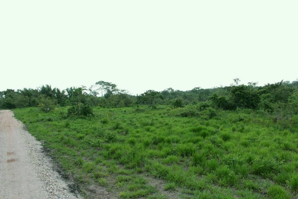 Schönes Grundstück im warmen & sonnigen Belize in Lage