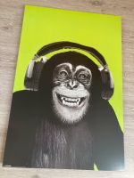 Jugendbild Cooler  Affe mit Kopfhörer 91 x60 Bayern - Memmelsdorf Vorschau
