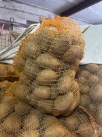 Kartoffeln Agria 10 kg Hessen - Trebur Vorschau