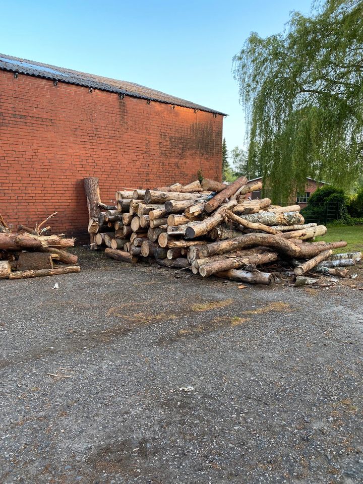 Brennholz in ofenfertiger Qualität in Dohren (Nordheide)