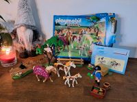 Playmobil Country 5227 Paddock mit Pferden und Pony Niedersachsen - Salzgitter Vorschau